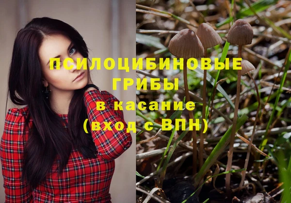 крисы Алзамай