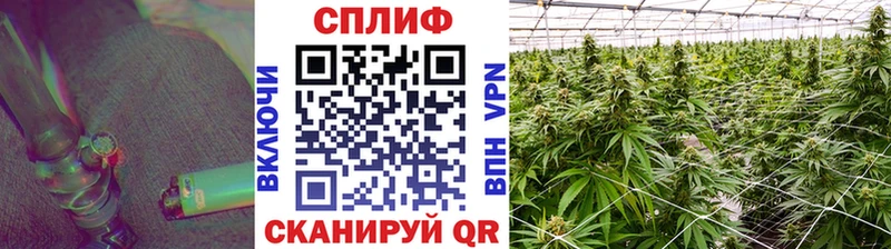 блэк спрут   Туапсе  Шишки марихуана семена 